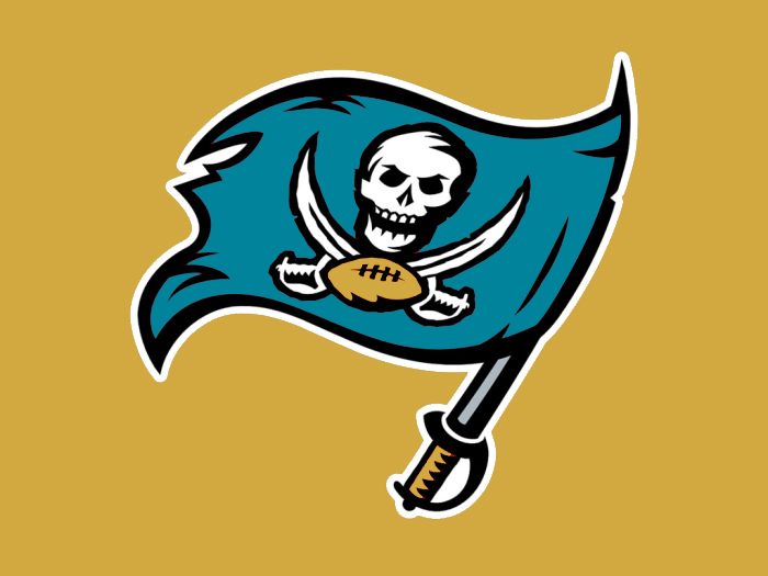 Tampa Bay to Jacksonville colors logo fabric transfer